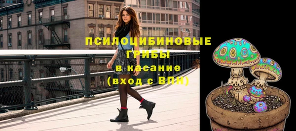 дурь Бикин